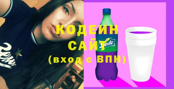 дживик Анжеро-Судженск