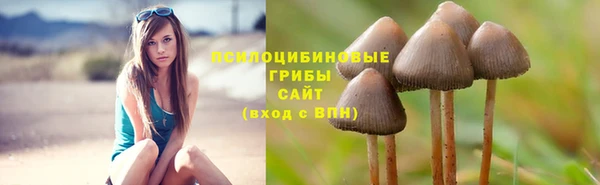 MESCALINE Надым