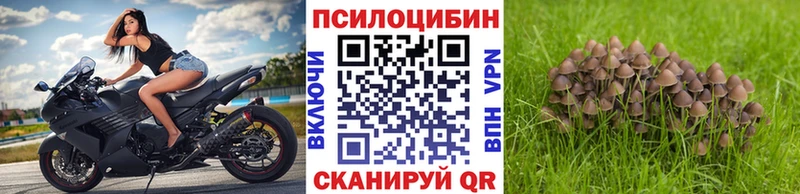 Псилоцибиновые грибы MAGIC MUSHROOMS  дарнет шоп  Рязань 
